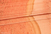 Cove Texture #1
