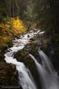Sol Duc Falls Autumn