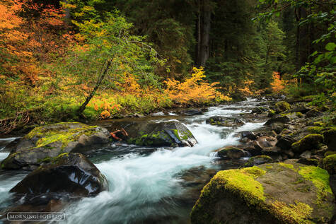 Autumn on Sol Duc