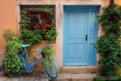 Blue Bike