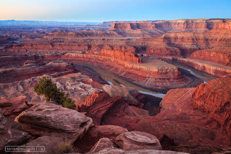 Deadhorse Overlook