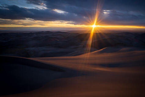 Dune Light print