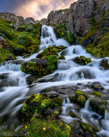 Foss Land