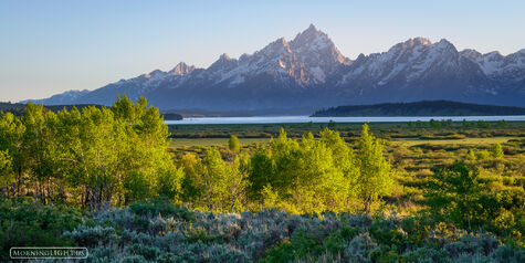 Jackson Lake Morning