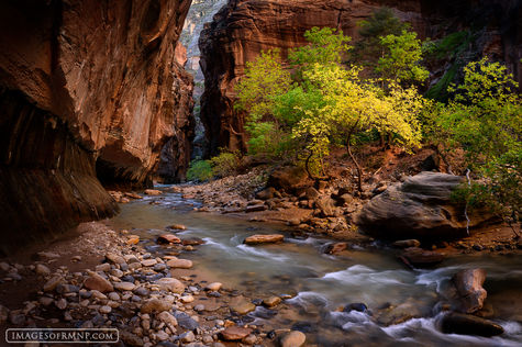 Joyful Alcove - H print