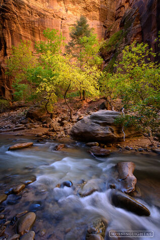 Joyful Alcove - V print