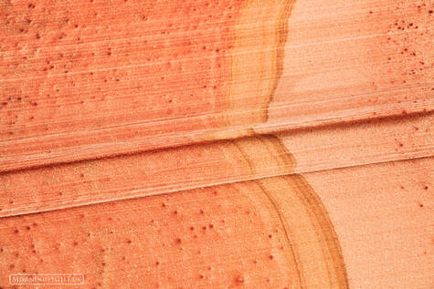 Cove Texture #1