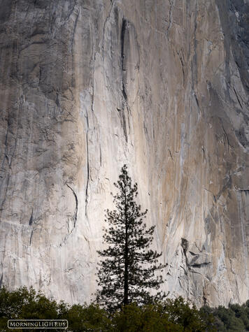 Spotlight on El Capitan print