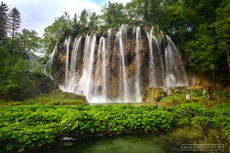 Waterfall Wonder