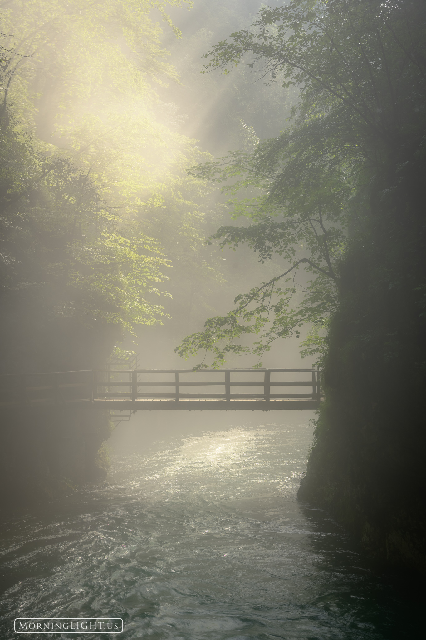 A wooden bridge spans a steep gorge which is teeming with life as the sun's rays begin to reach down trying to touch the water...