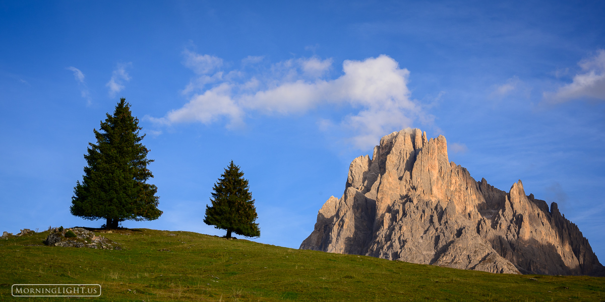 Two young trees try to stand proudly as if imitating the dramatic mountain of Sassolungo behind them.
