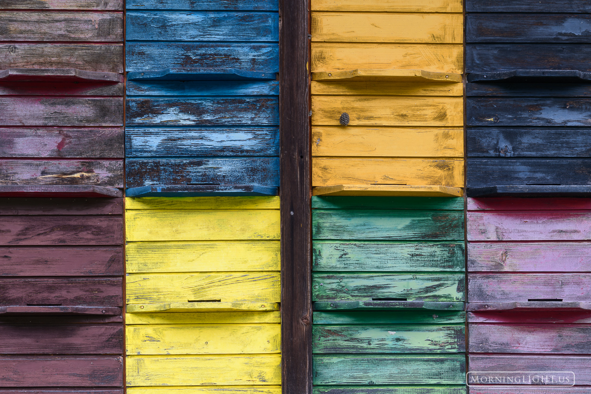 On an old farm in the Julian Alps they have painted each bee box a different color.