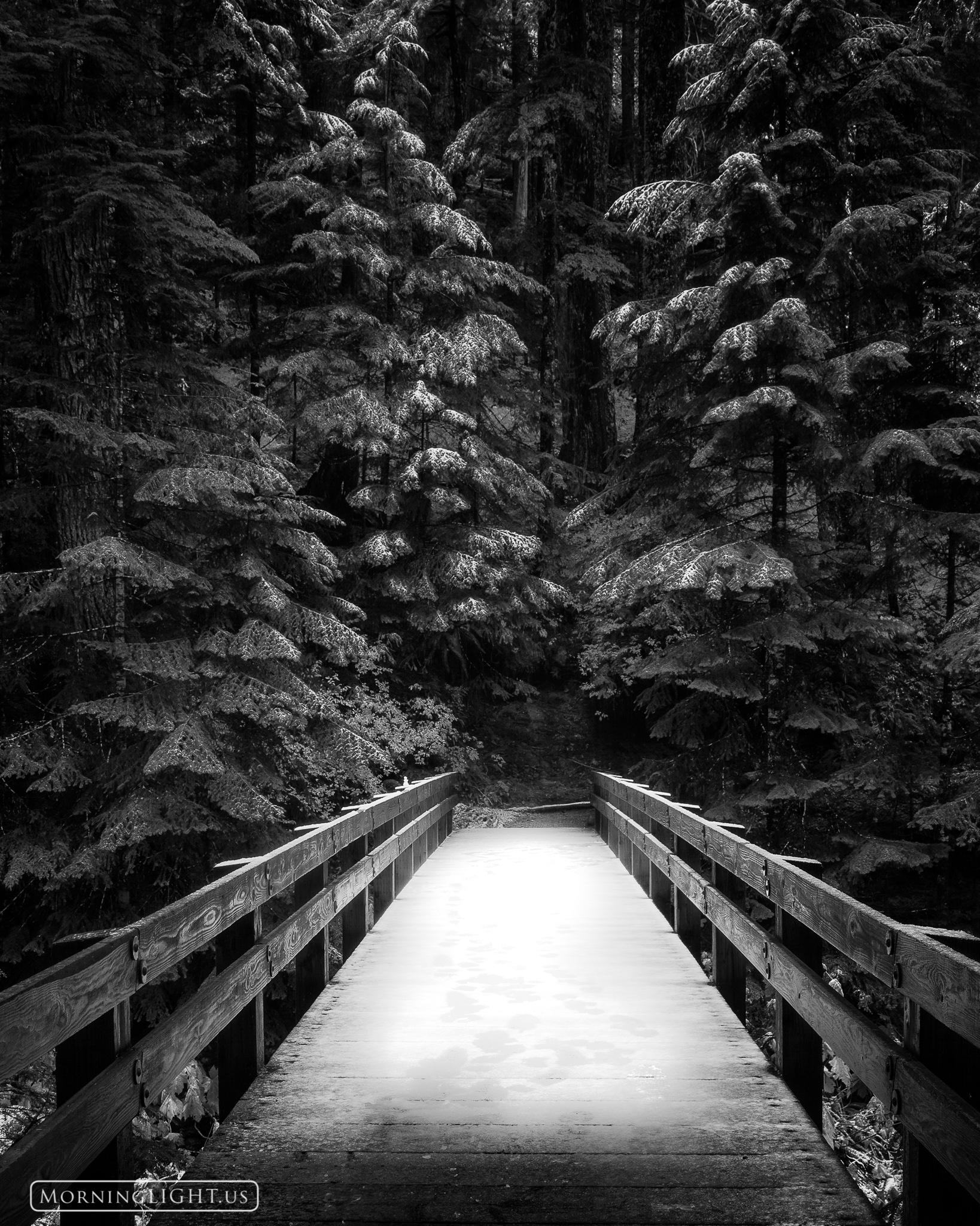 This bridge sits on the trail to Deer Lake not far from the Sol Duc River in Olympic National Park. A coat of fresh snow helped...