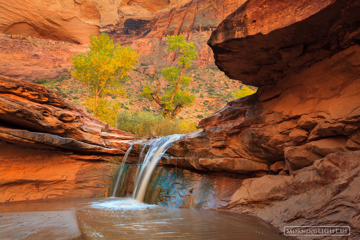 A small waterfalls lies hundreds of feet down at the bottom of a canyon in the middle of Utah Desert. This stream creates a beautiful...