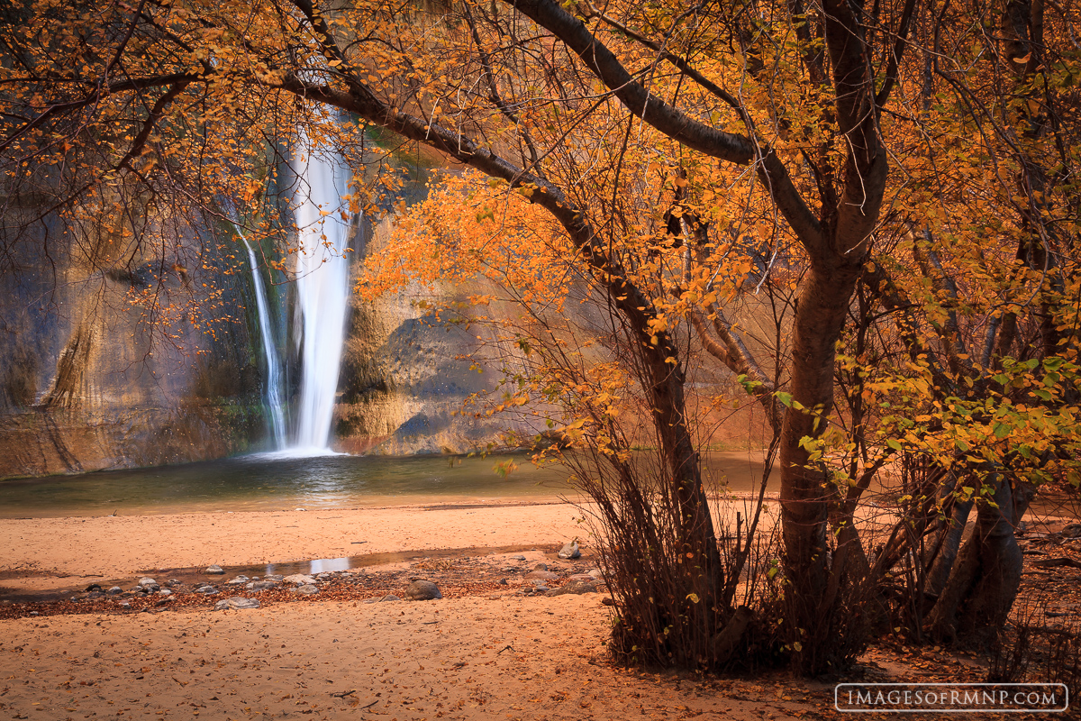 Calf Creek Falls is a popular hike and I seemed to arrive at just the perfect time of year to catch some great autumn colors...