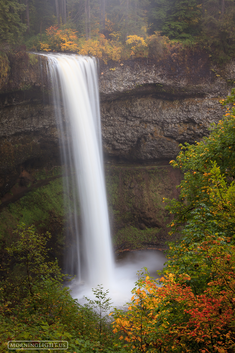 Elegant October South Falls in Silver Falls State Park is a spectacular place, particularly when the leaves take on their autumn color.