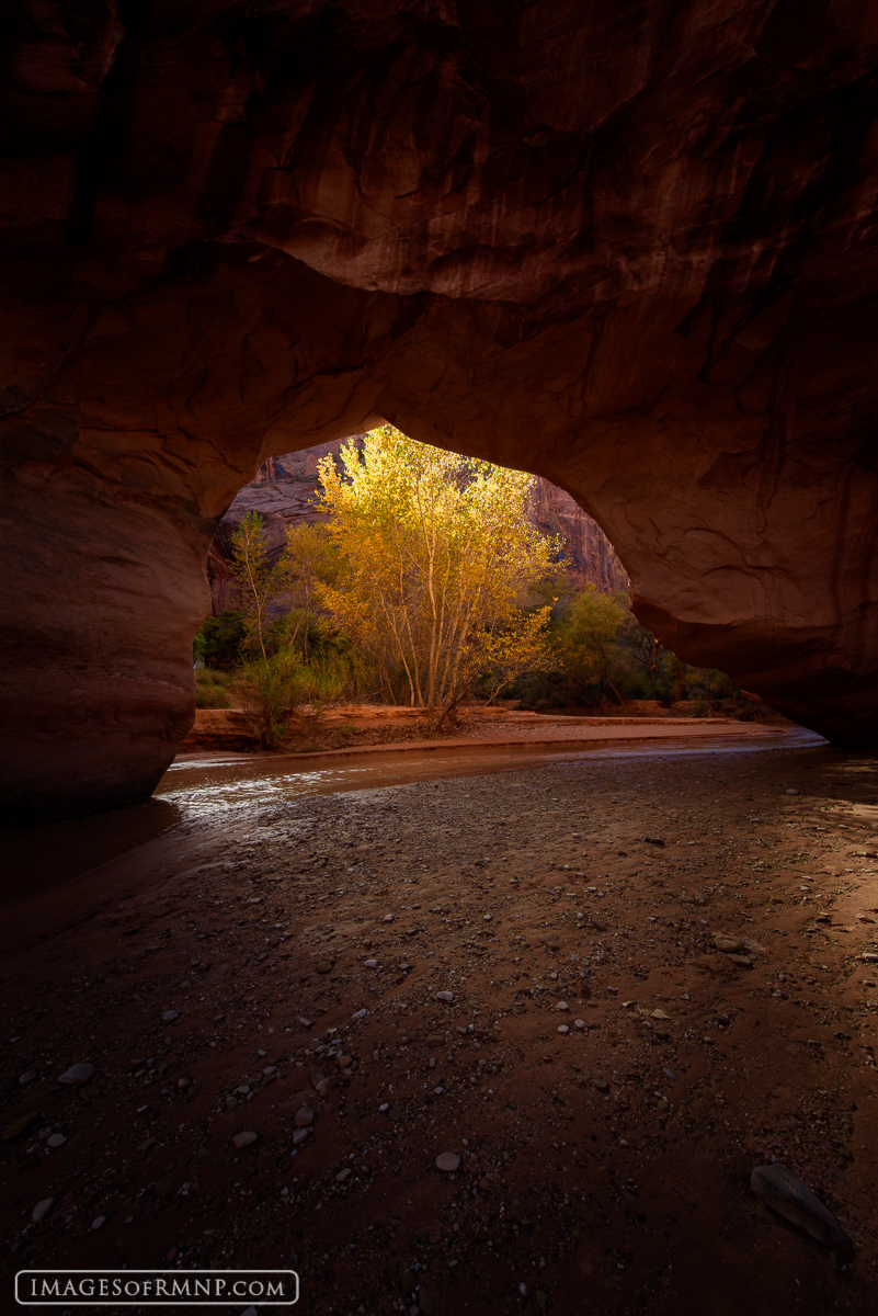 At the end of a long dark tunnel we hear a voice calling us. It urges us onward through the darkness and into the light where...