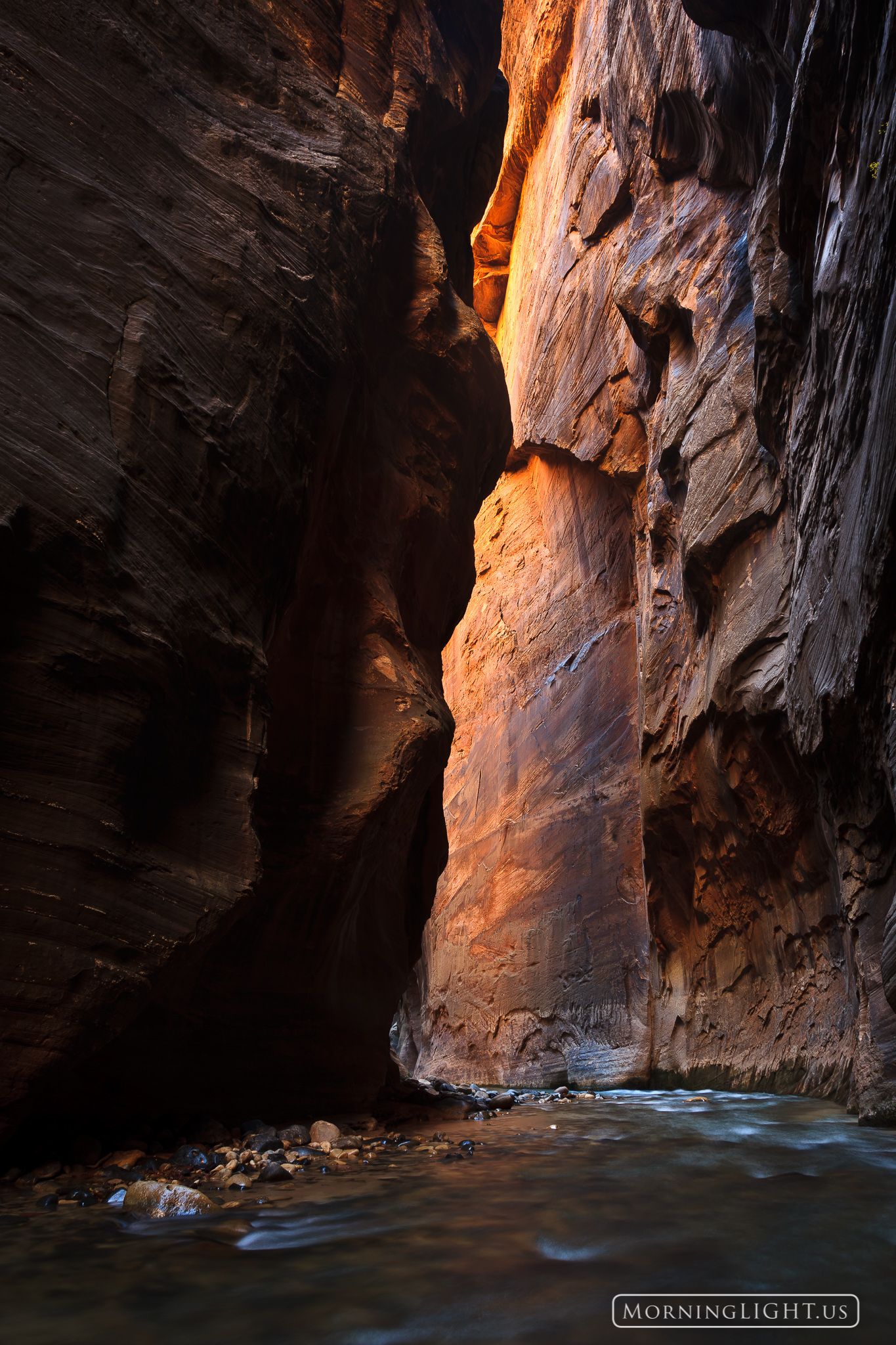 Sometimes while hiking through the Narrows you can see warm glowing light coming from around a corner. It is almost like you...