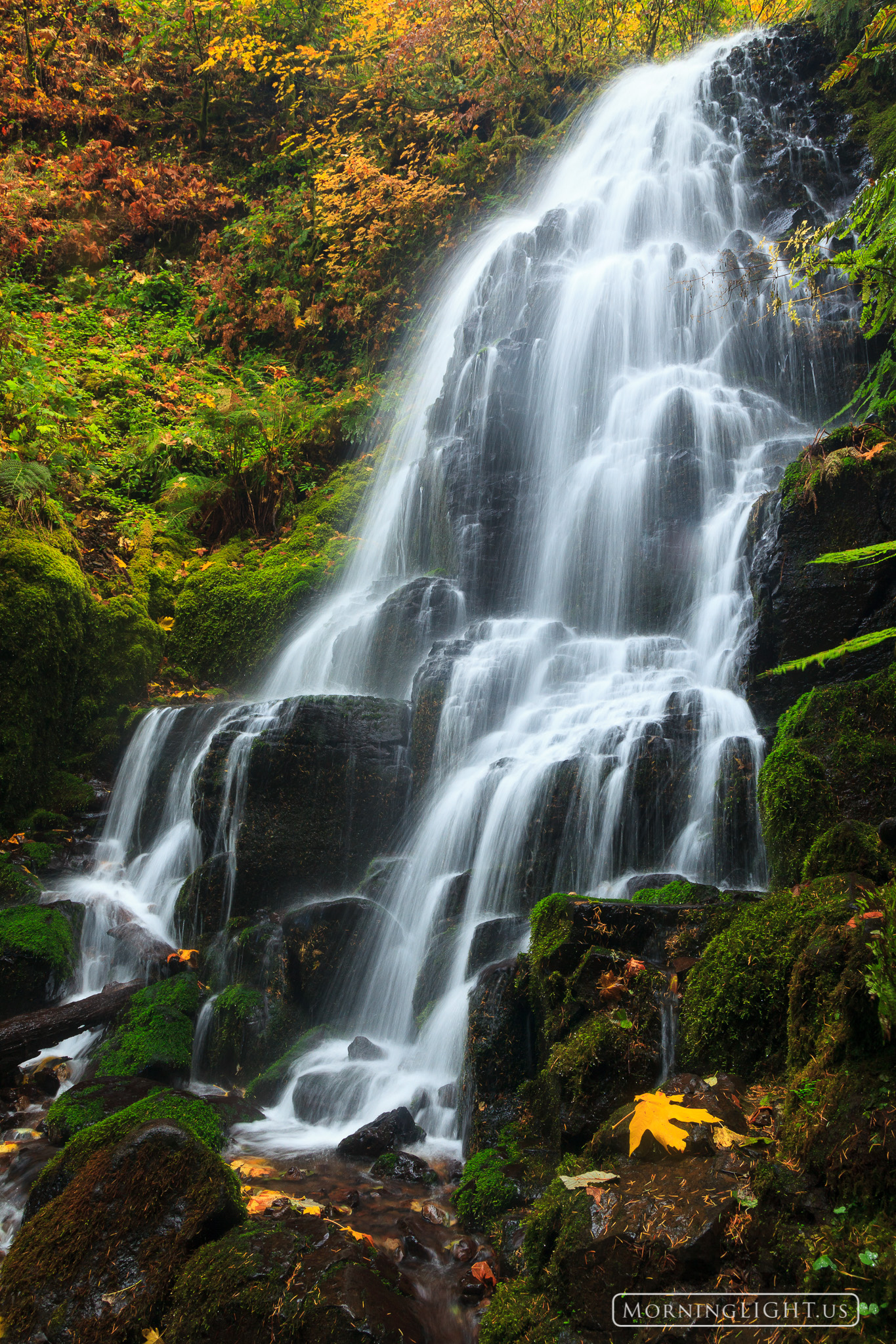 This is one of the most beautiful waterfalls that I've ever seen, located high along the Columbia River Gorge in Oregon. I've...