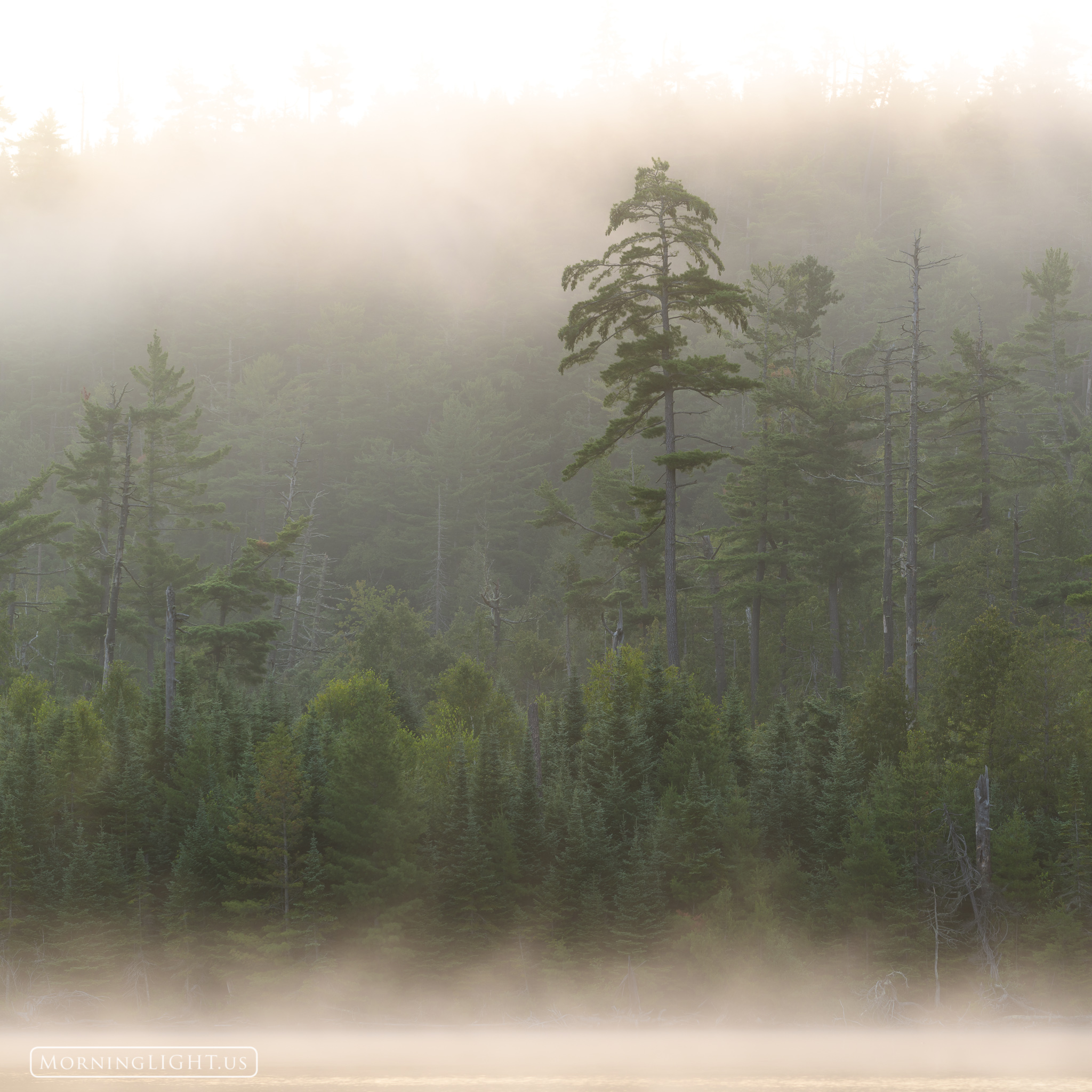 A beautiful foggy morning in the Boundary Waters Canoe Area of northern Minnesota. This is a 1x1 ratio and can be printed at...