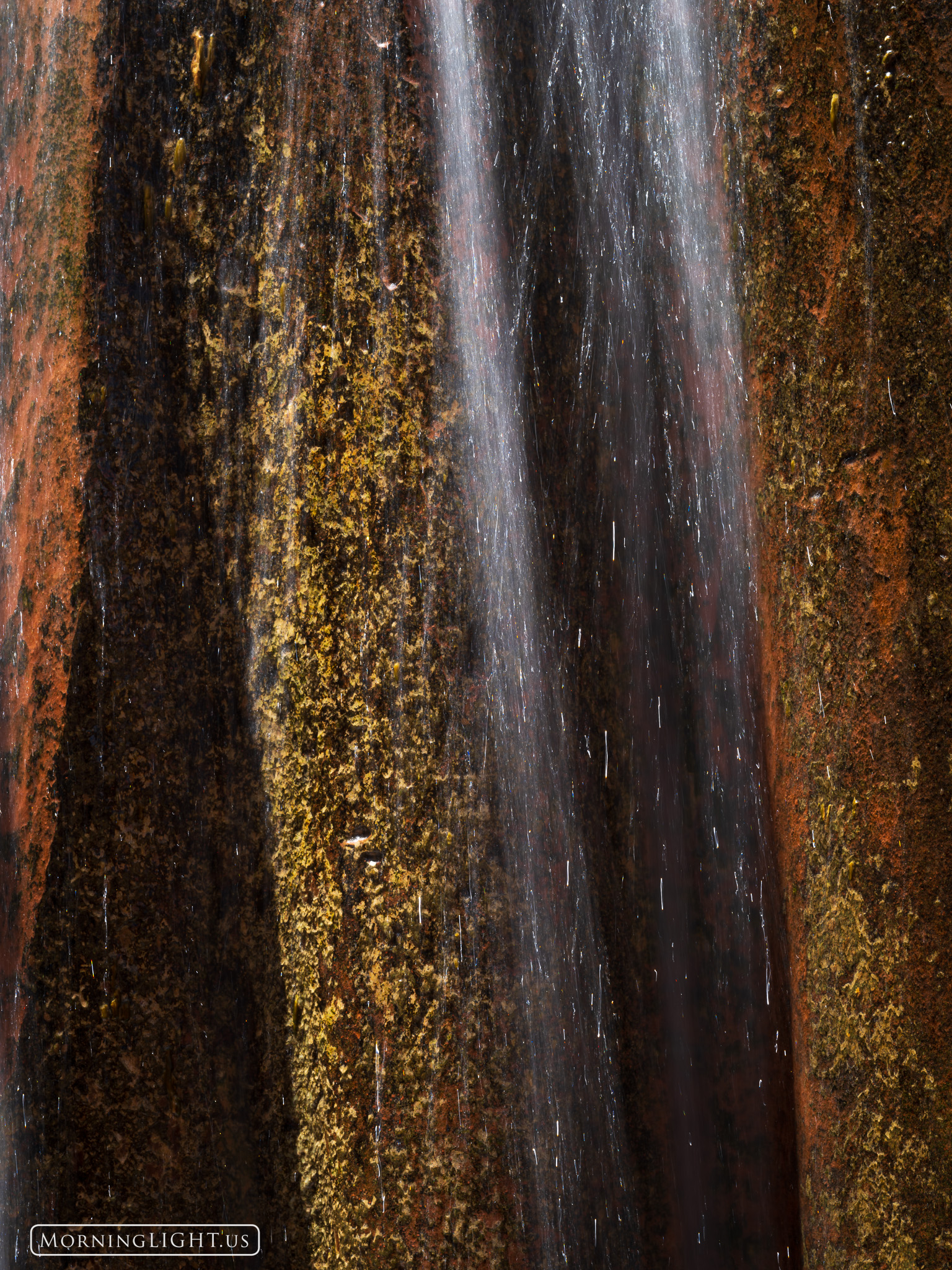 This is a closeup of a section of waterfall deep in a desert canyon.
