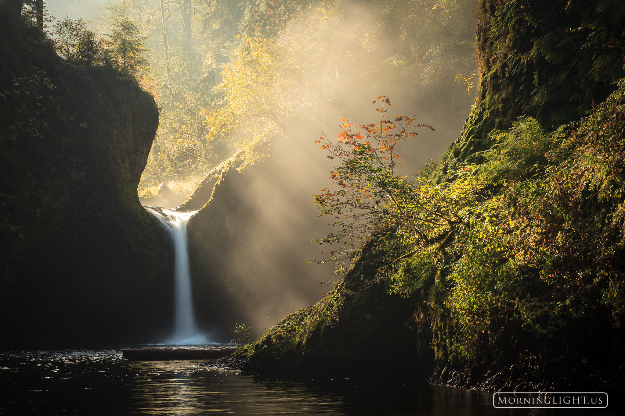 An idyllic scene in the Columbia River Gorge as mist rises over a beautiful waterfall just after the start of this new day. One...