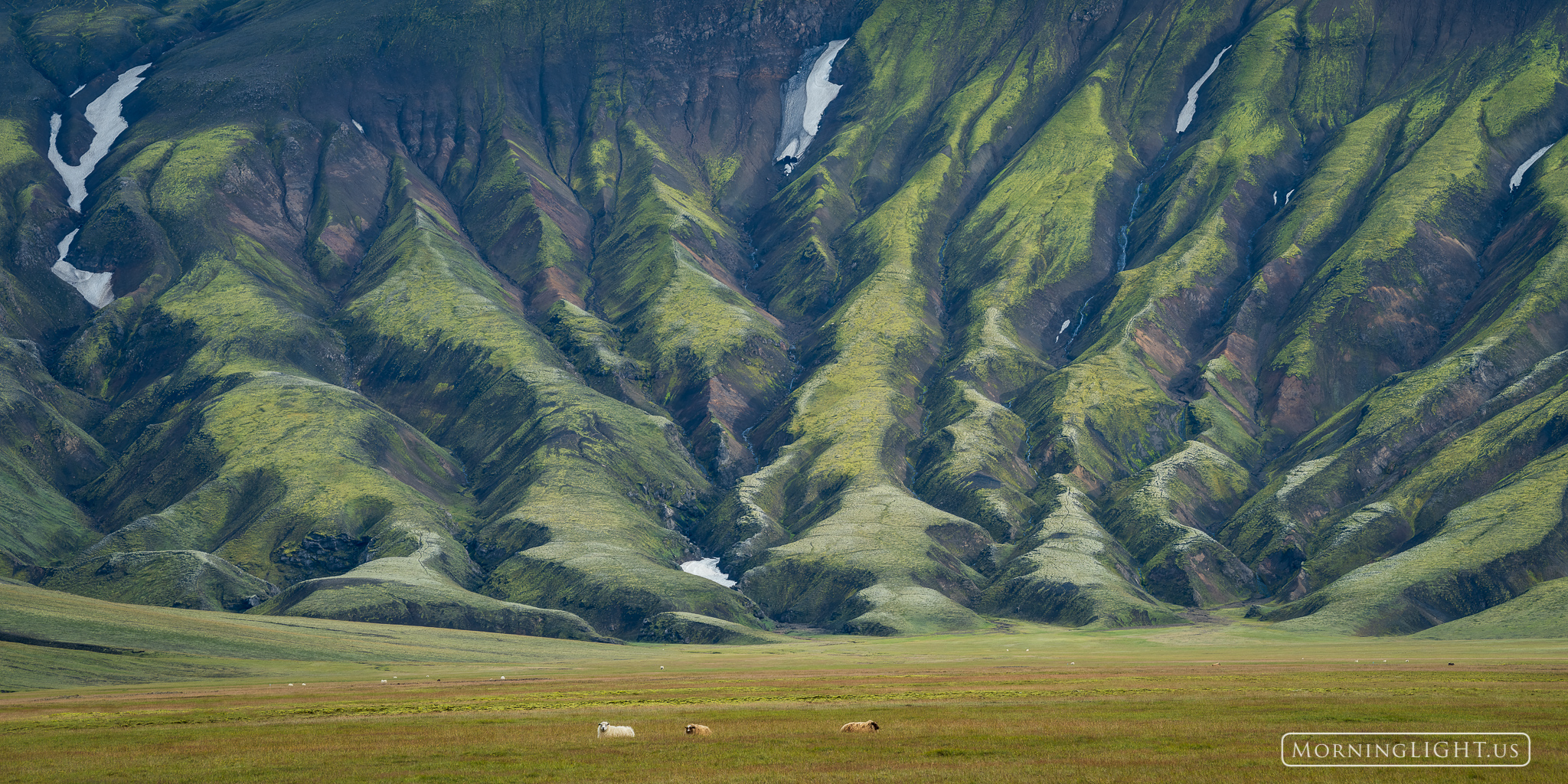 Much of the highland landscape of Iceland is rugged, dramatic, and sometimes even a little threatening. Yet at the base of these...
