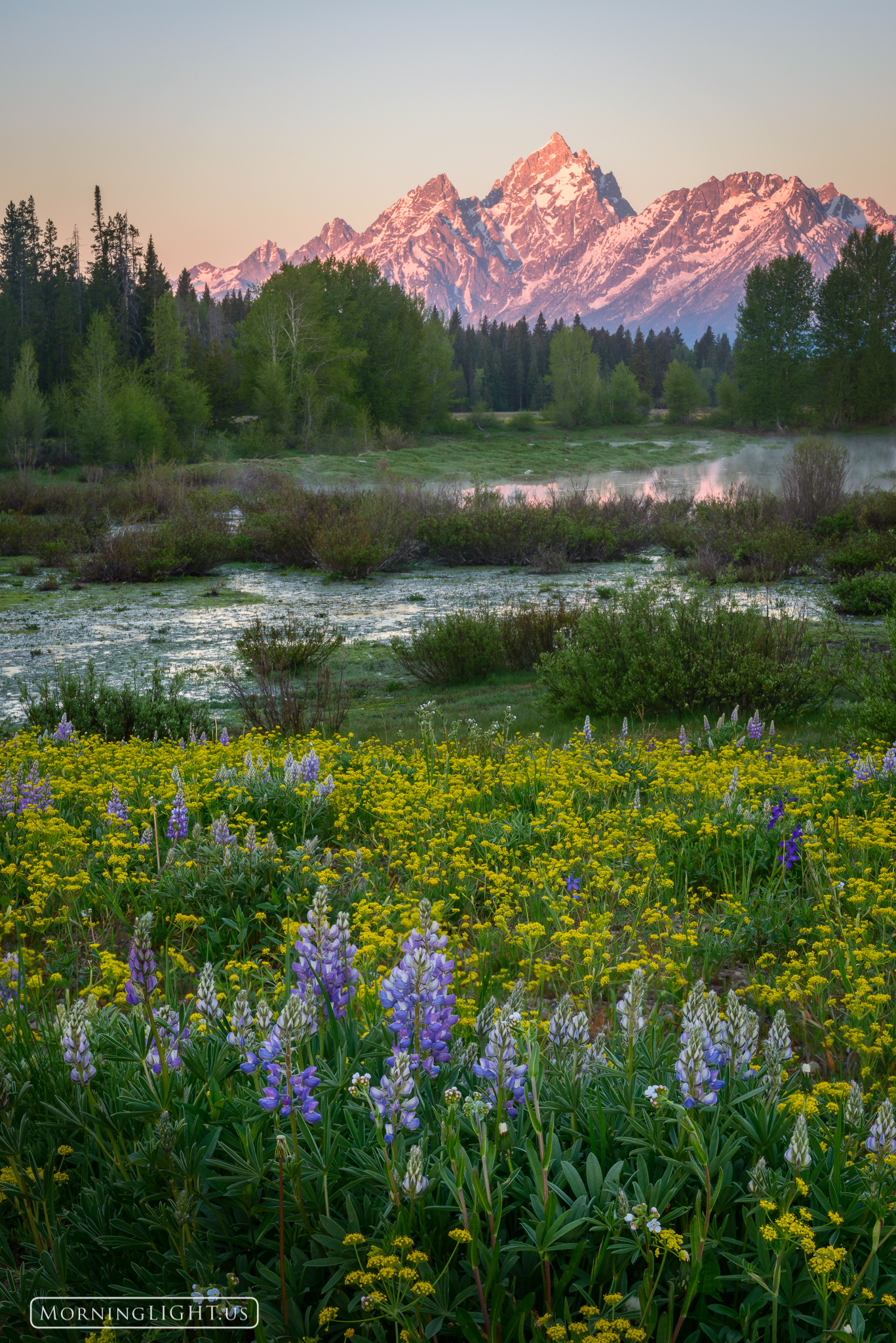 A beautiful spring morning in Grand Teton National Park, WY.