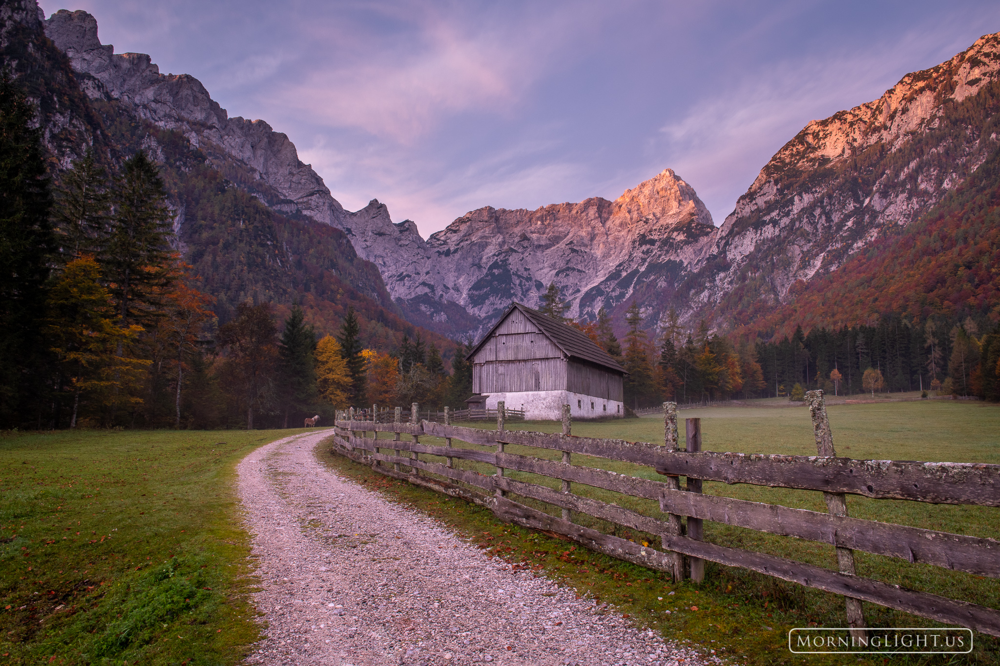 In the pre-dawn light this valley in the mounains of Slovenia glowed with a beautiful pink light. The horses began to wander...