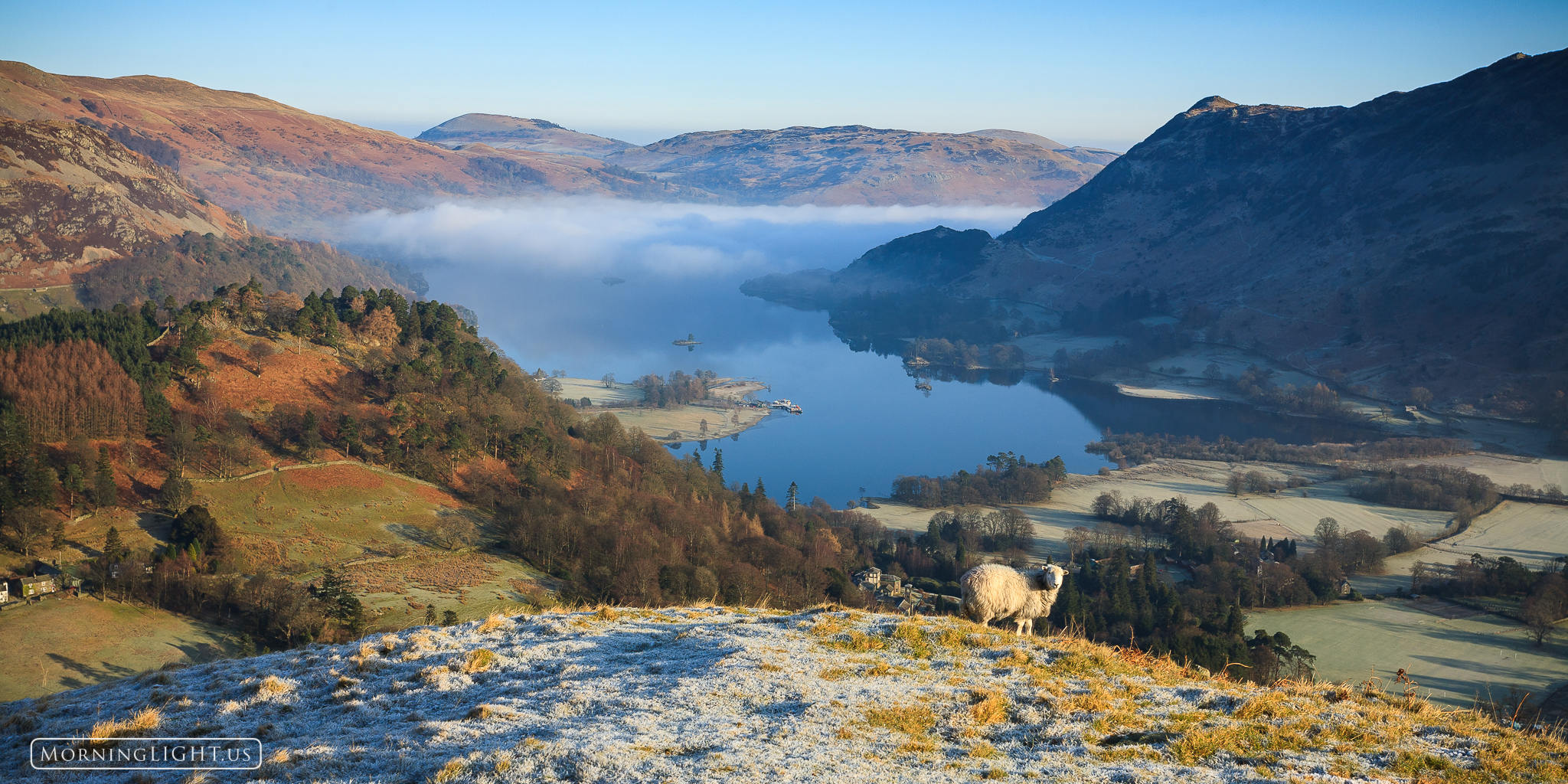 A lone sheep stands on a frost covered hill high above a partially cloud covered Lake Ullswater in England's Lake District....
