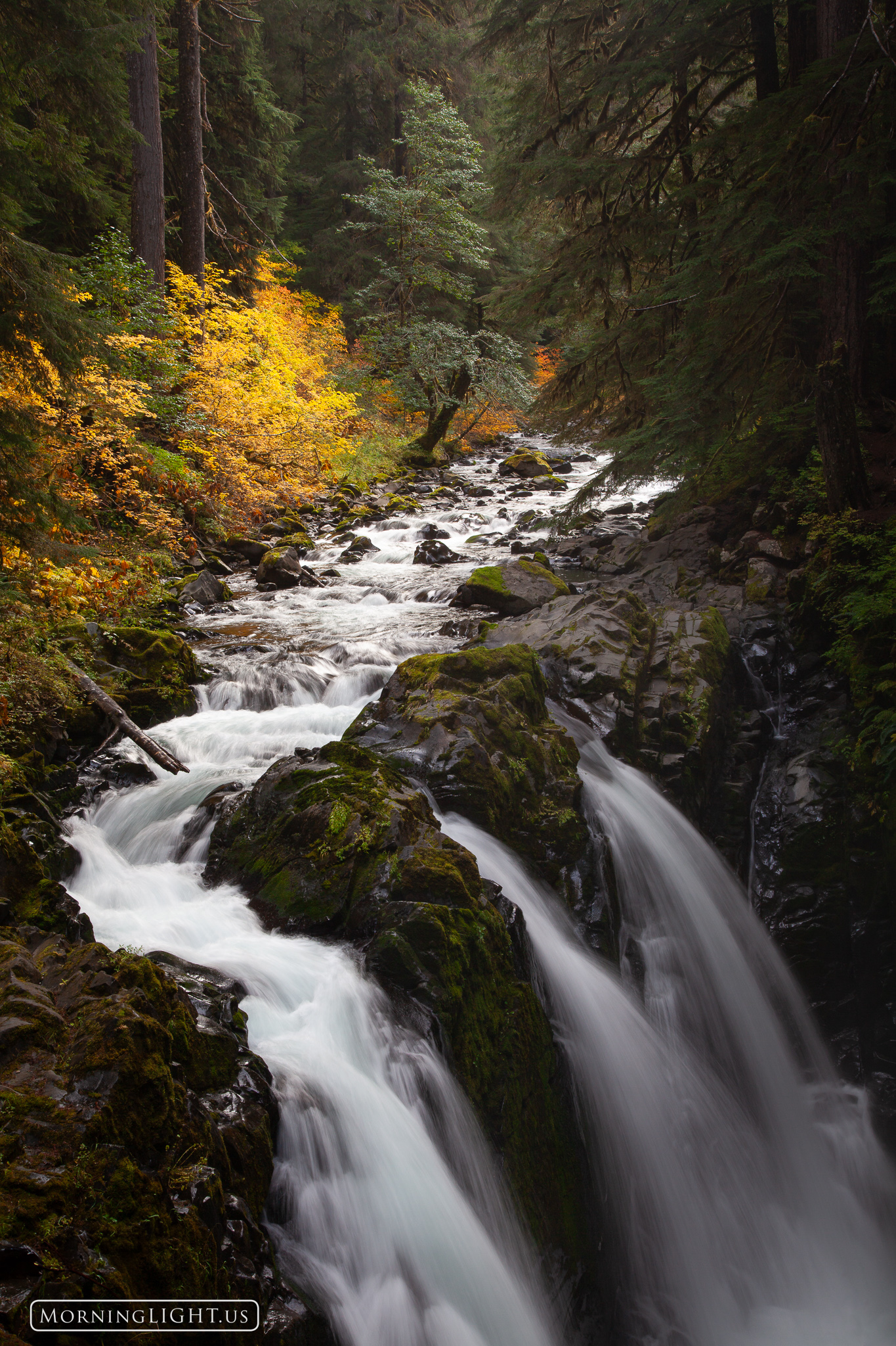 Sol Duc Falls Autumn Olympic National Park Washington Morning 