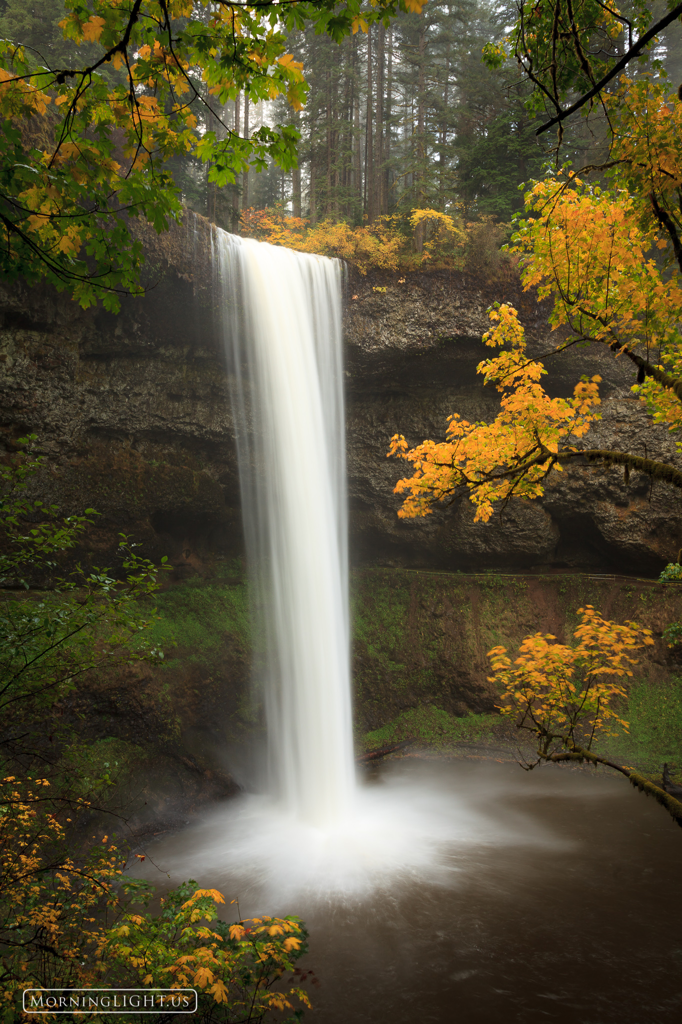 South Falls in Silver Falls State Park is a spectacular place, particularly when the leaves take on their autumn vibrance.