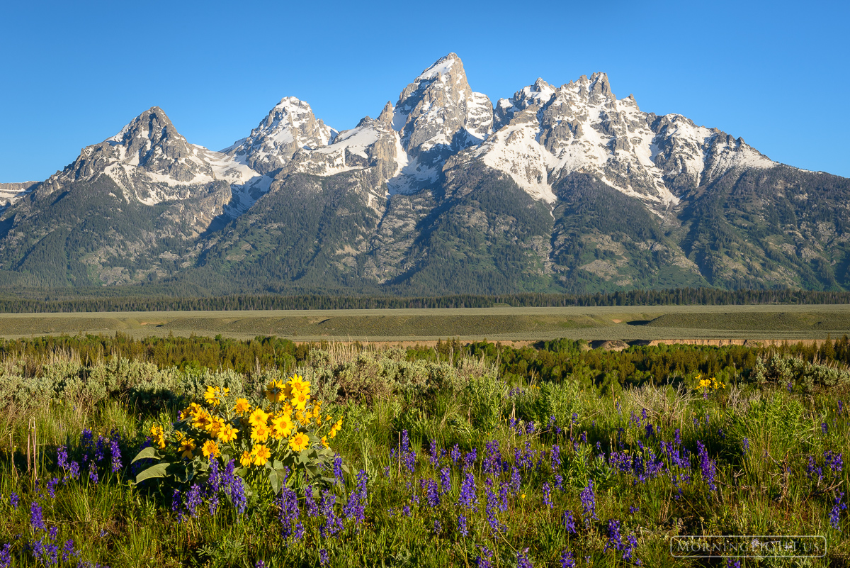 Wildflowers and jagged snowy peaks fill me with wonder and delight. I may look like a hard fellow, but I simply melt at idyllic...