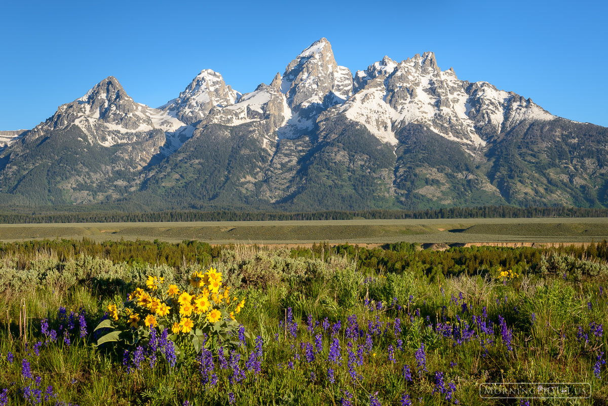 Wildflowers and jagged snowy peaks fill me with wonder and delight. I may look like a hard fellow, but I simply melt at idyllic...