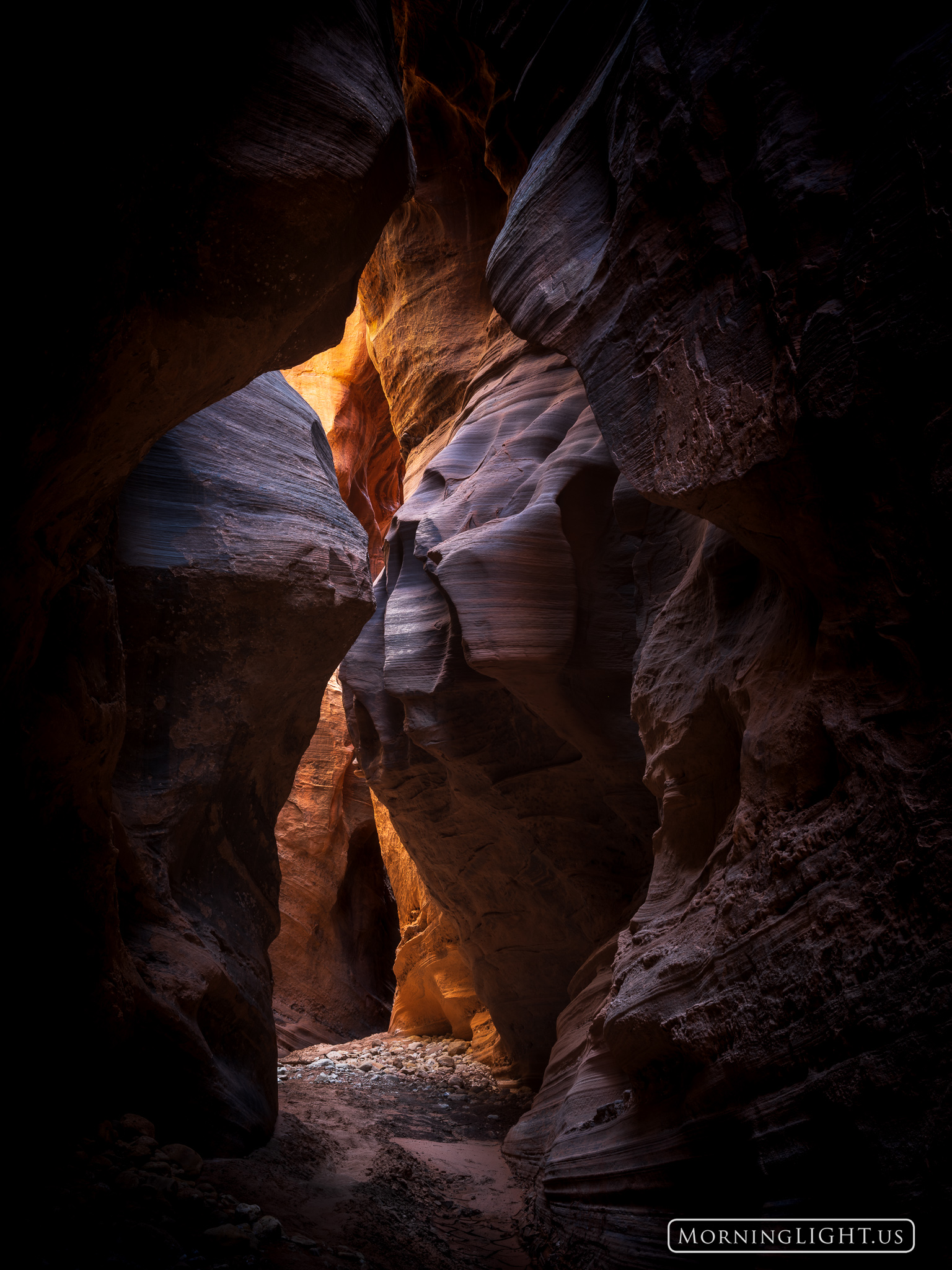 Surprise and discovery are what we encounter in desert canyons and also what we discover within ourselves as we dare to explore...