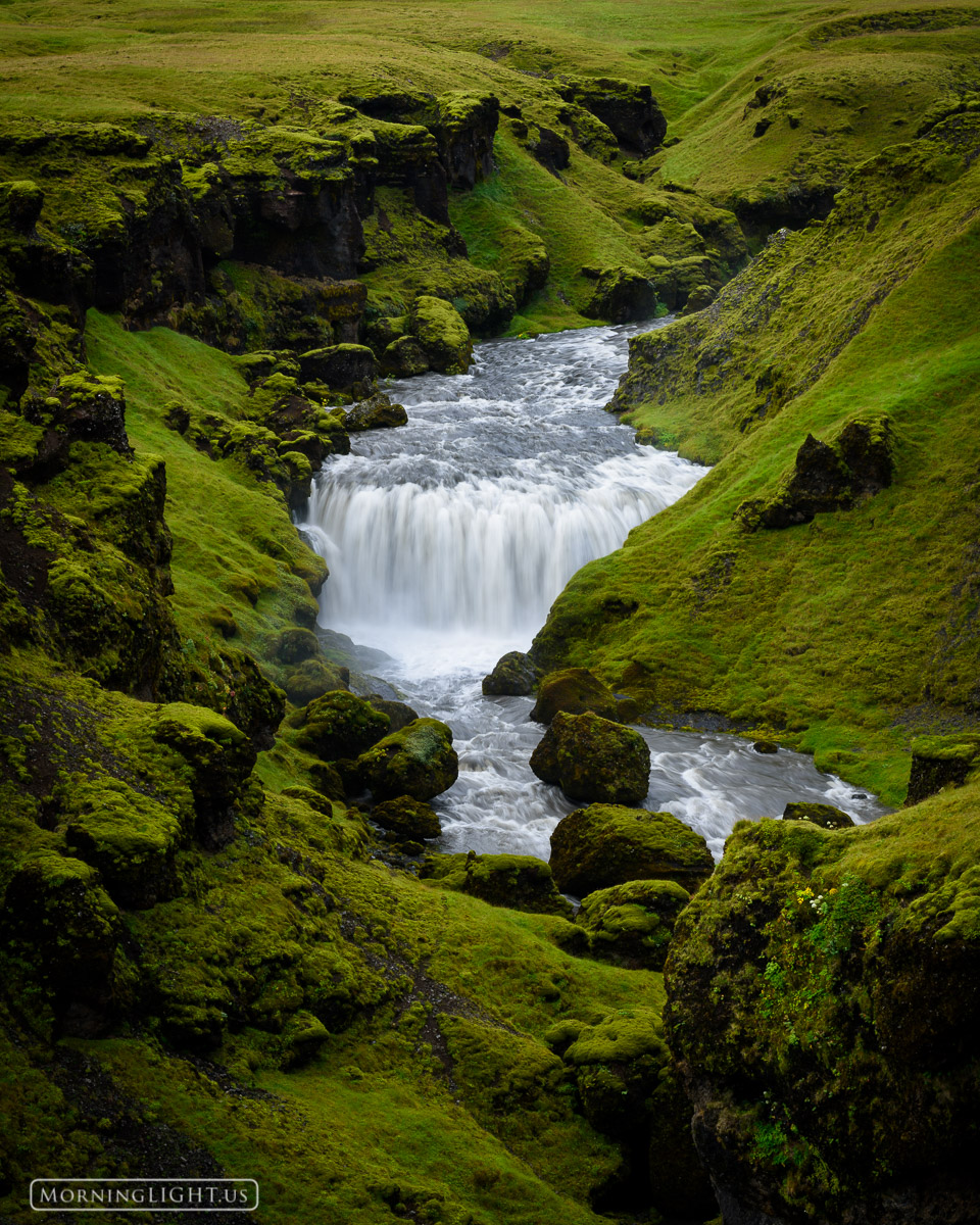 A river finds its way through a moss covered field of lava on its journey from glacier to ocean.