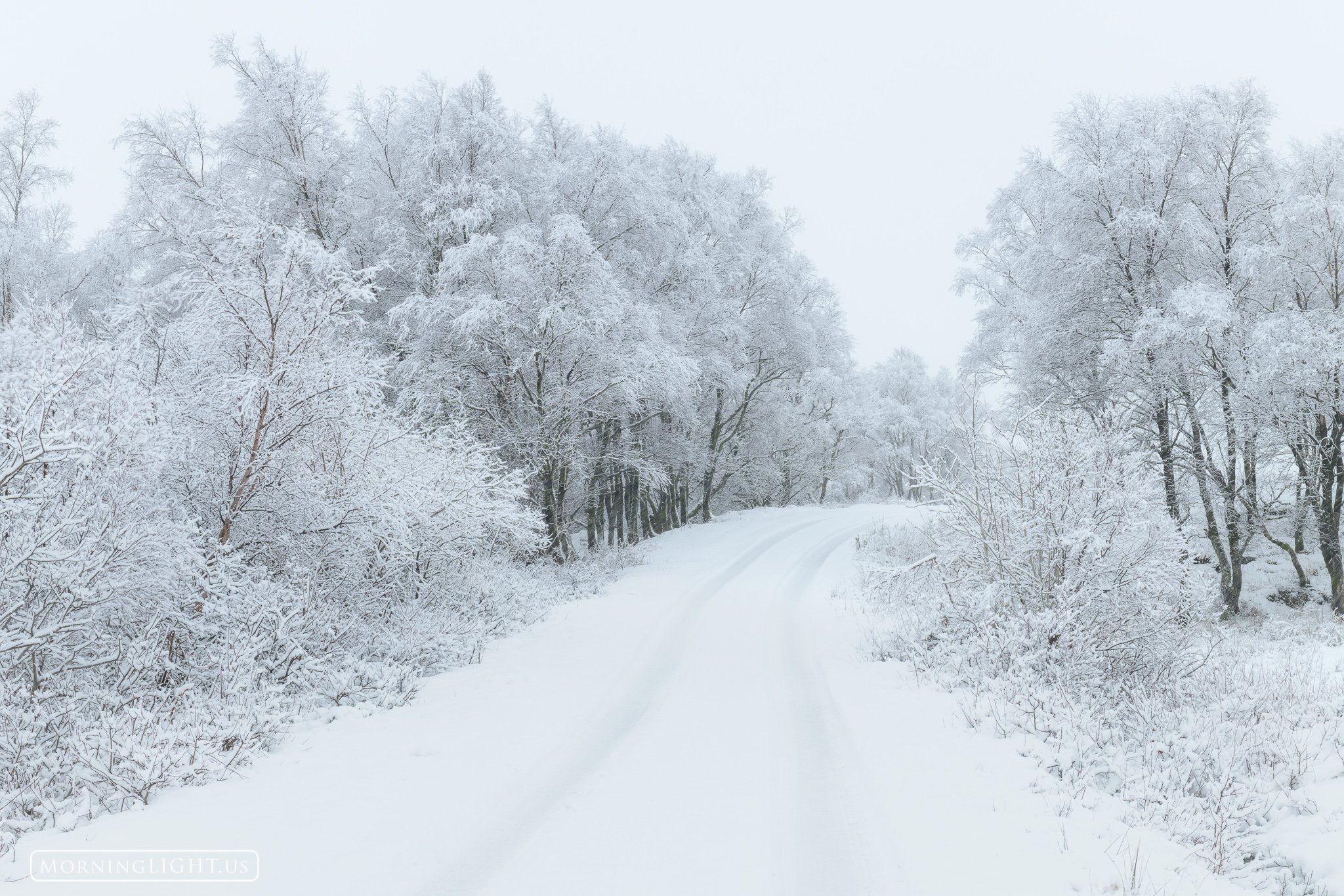 There is something magical about a snowstorm and its ability to turn almost any scene into a place of delight and wonder, such...